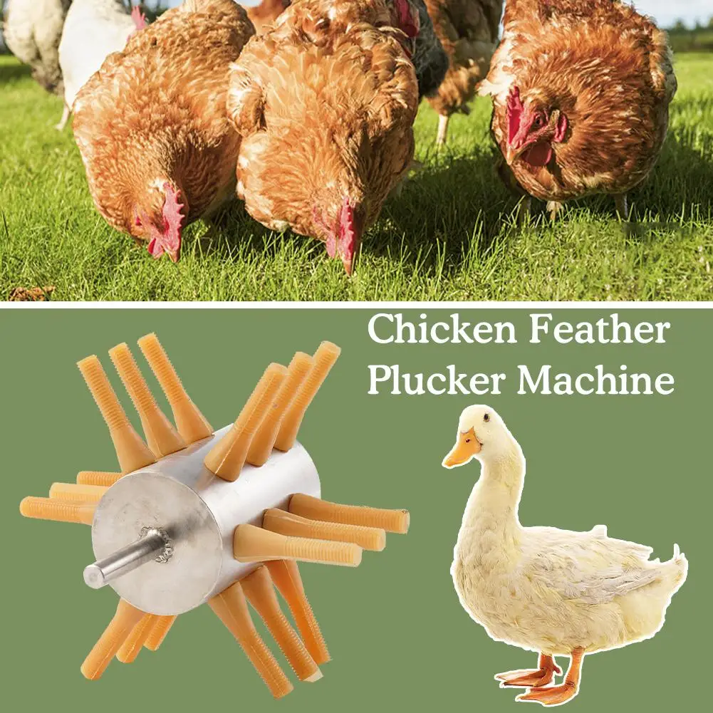 

1PCS Chicken Plucker Drill Attachment Stainless Steel Chicken Plucker 18 Fingers Chicken Feather Removal Plucker Machine