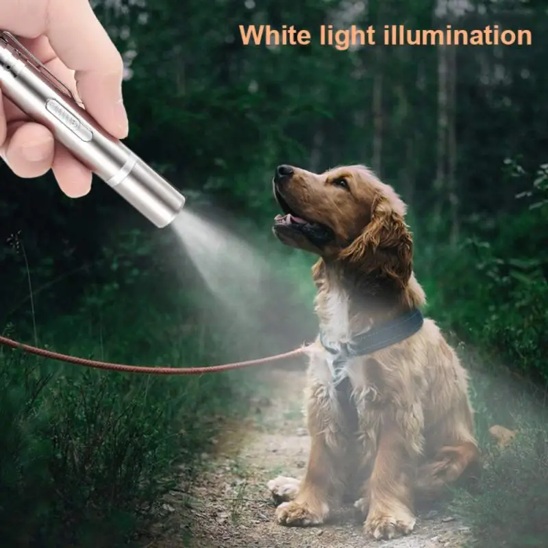 

Rechargeable LED Camping Flashlights Stainless Steel Material Pen Lights 896B