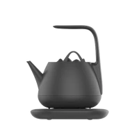 food grade 304 stainless steel small home appliances tea pot set with tray modern hot sale healthy mountain smart kettle