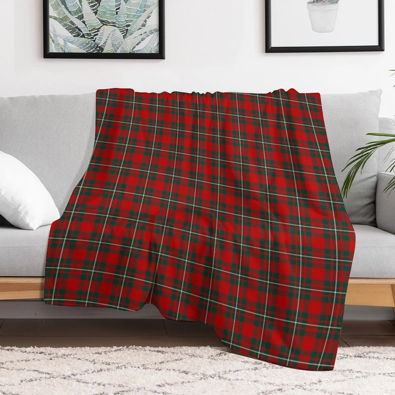 Фото Портативное легкое одеяло-плед Clan MacGregor Tartan для путешествий и кемпинга №2