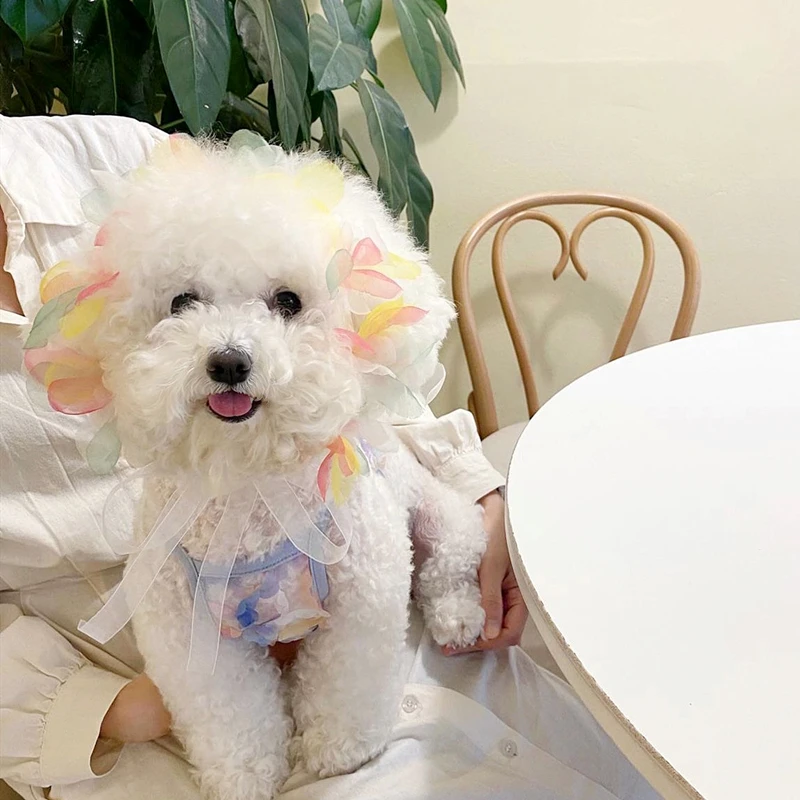 Летняя тонкая одежда для собак плюшевый пуловер домашних питомцев дышащий