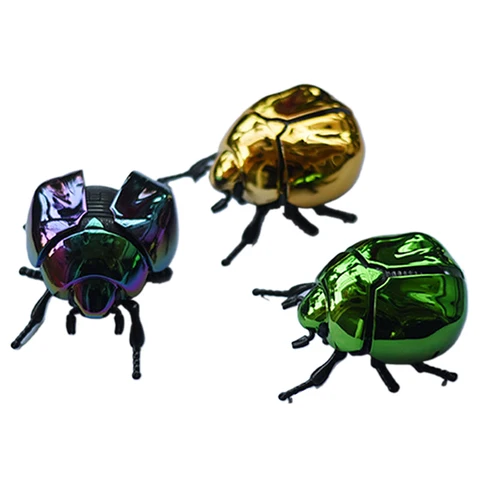 Заводной жук ZTOYL