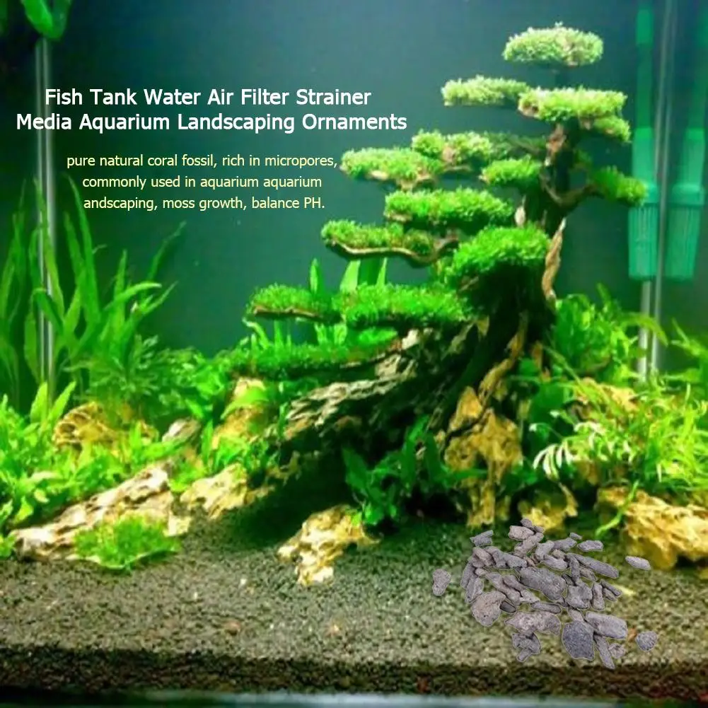 

Fish Tank Water Air Filter Strainer Media Aquarium Landscaping Ornaments Fish Tank Aquarium Supplies for Household Fish