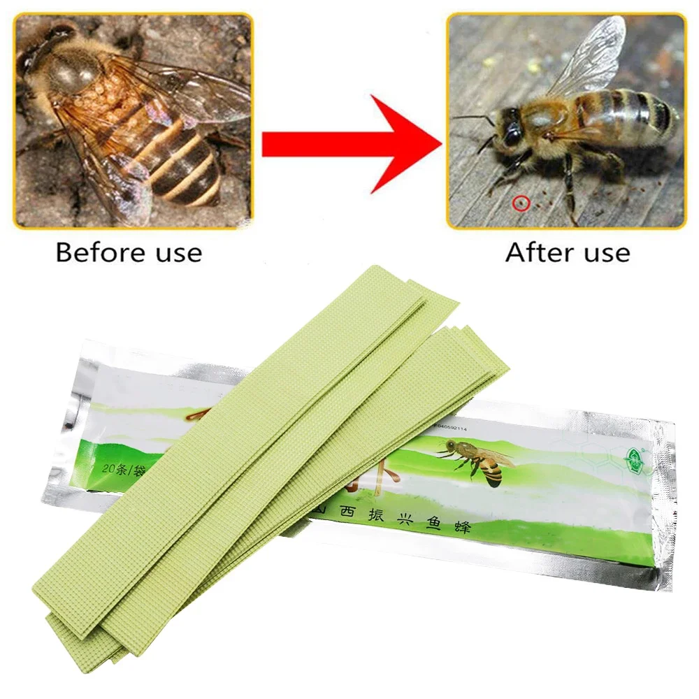 1Pack Apiculture Anti-mite Items Bee Mite Strip Beekeeping Medicine harmless to bees Bee Varroa Mite Killer Beekeeping Medicines