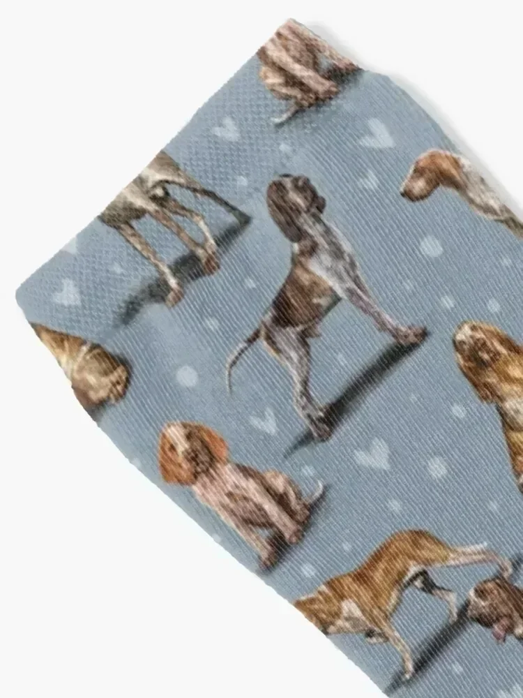 Носки Bracco Italiano яркий комплект с подвязками чулки противоскользящие носки