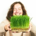 Стартовый набор для семян, прозрачный лоток для рассады для посадки и выращивания семян фруктов, растений или овощей, простой в использовании, многоразовый