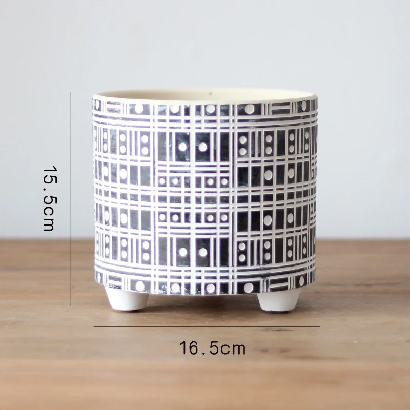 

Plant garden balcony flower