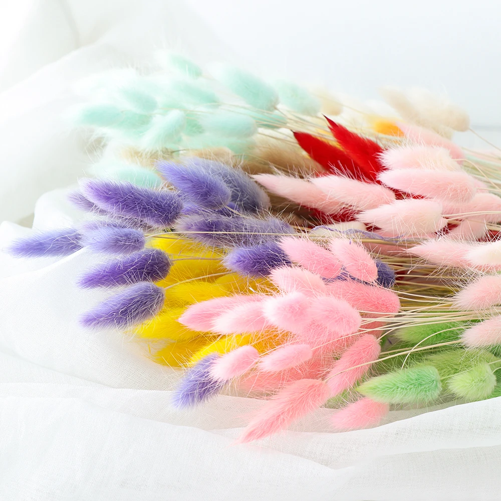 

20Pcs Dried Flower Bouquet Rabbit Tail Grass Natural Dried Flowers For Home Living Room Decoration Flower Arrangement Bouquet