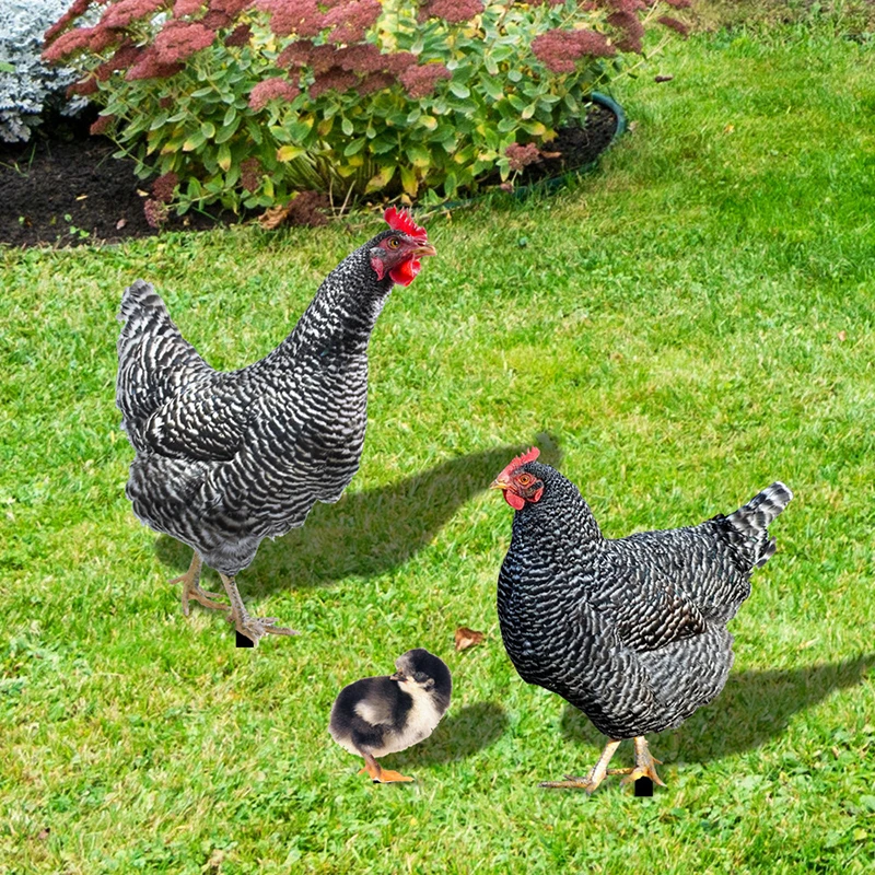 

3PCS Chicken Stakes Realistic Chicken Family Garden Statues Yard Art Rustic Outdoor Decor Backyard Garden Farmhouse Decor