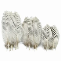 10pcslot natural silver pheasant feathers for crafts 10 25cm 4 10 plumes white feather decor carnival wedding party decoration
