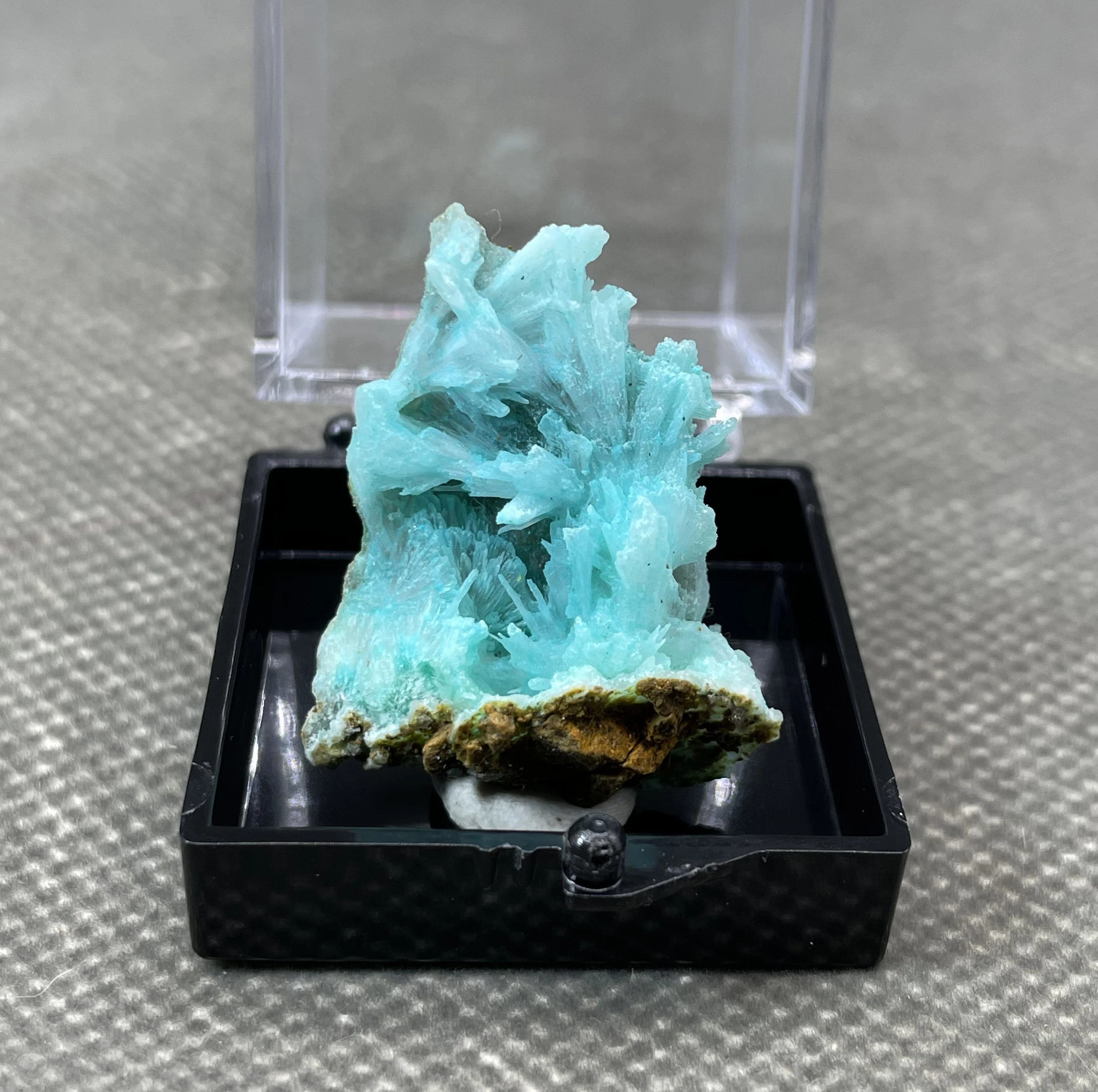 

NEW! 100% natural Radial Blue Aragonite minerals specimen stones and crystals healing crystals quartz (box size 3.4cm)