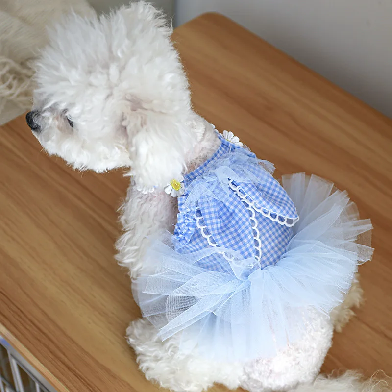 

Синее клетчатое Сетчатое платье, одежда для собак, юбка-пачка с милыми кроличьими ушками, одежда для собак, тонкая Корейская одежда для кошек на весну и лето