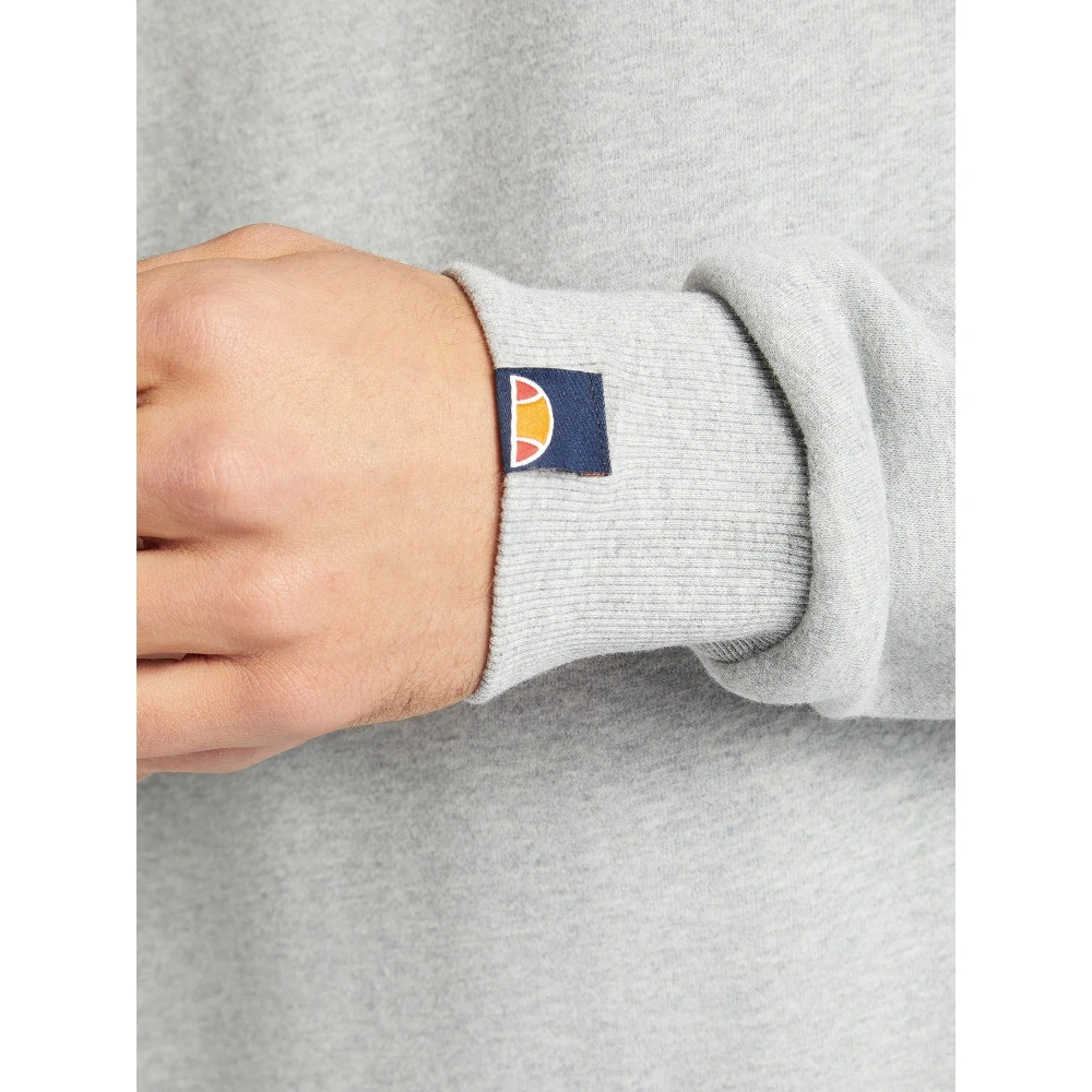 Свитшот мужской Ellesse Succiso серый | Мужская одежда