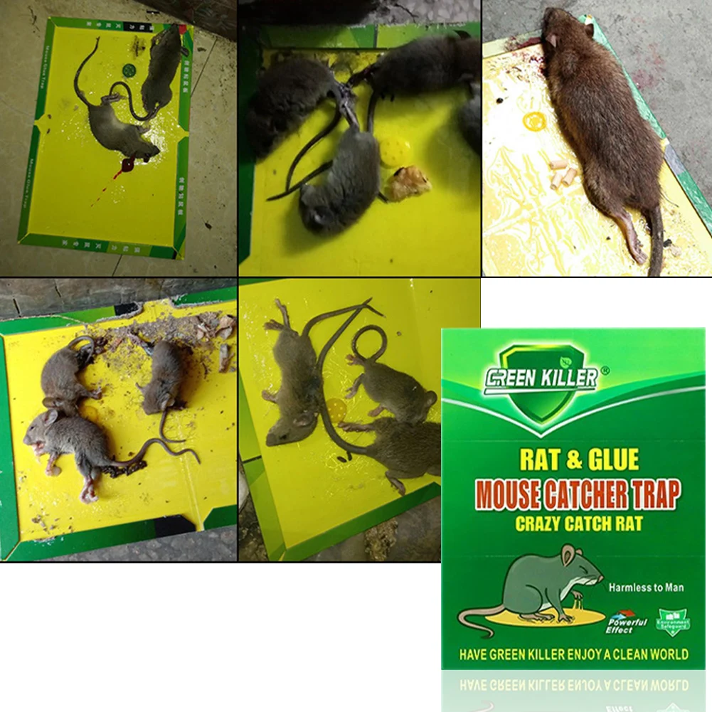Клей-ловушки для мышей и насекомых сверхпрочные липкие грызуны мыши крысы