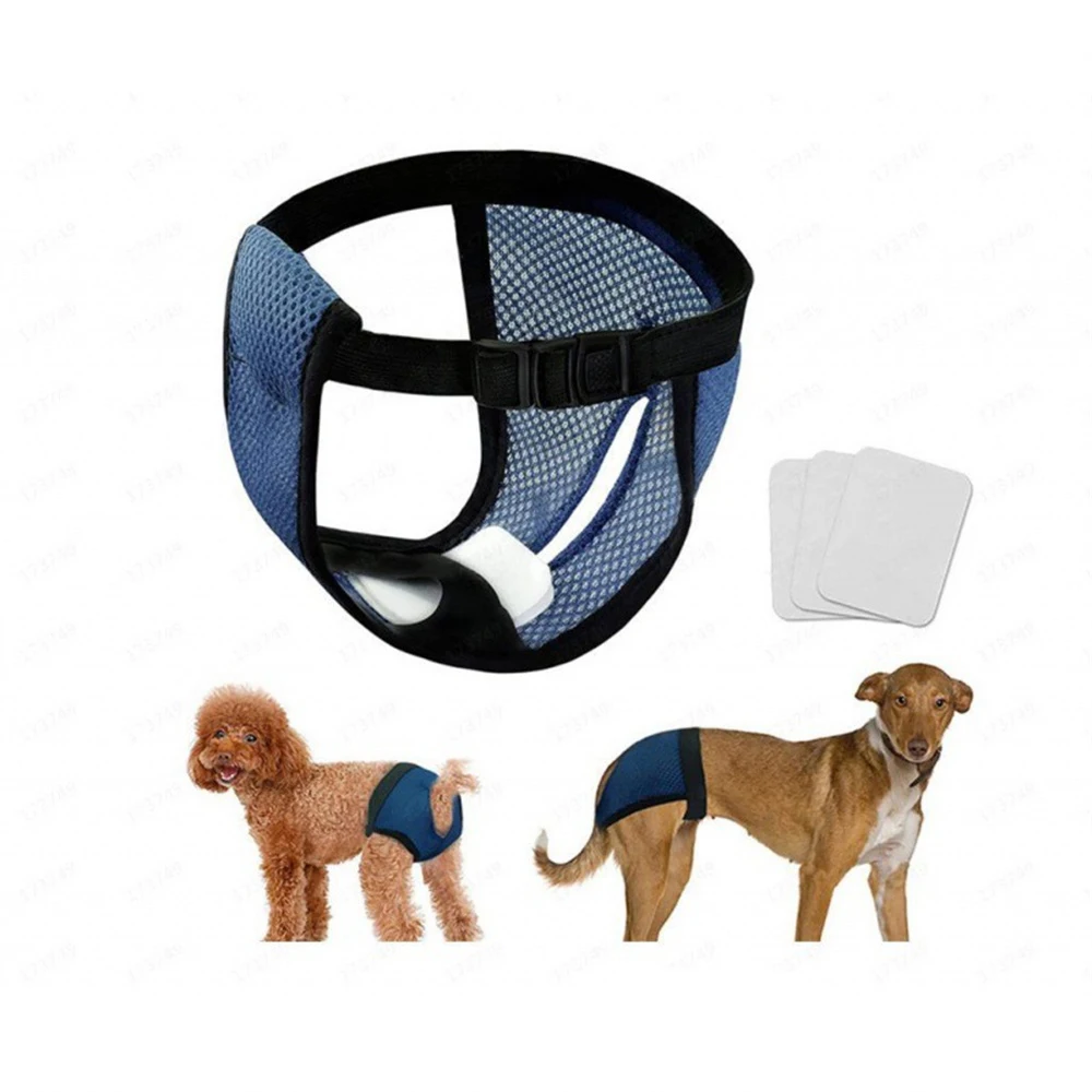 

Safety Pants For Pet Dogs Black Elastic Band Design Easy To Put On And Take Off Can Be Washed Repeatedly Breathable Dog Supplies