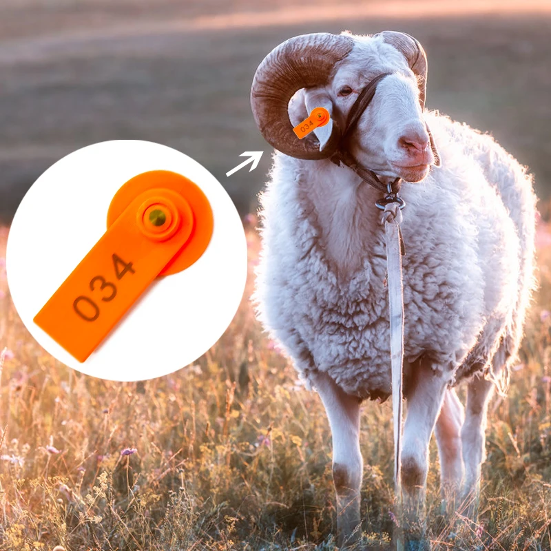 Этикетка для идентификации овец и скота с номером 100 товары животных на ферме коз