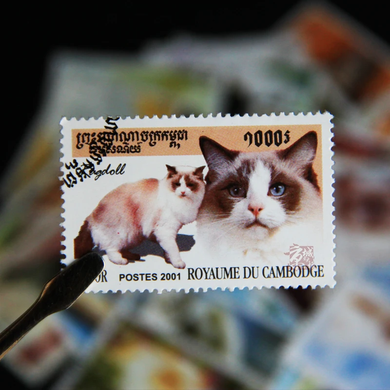 100 различных штампов с кошками без повторения кошек настоящая использованная