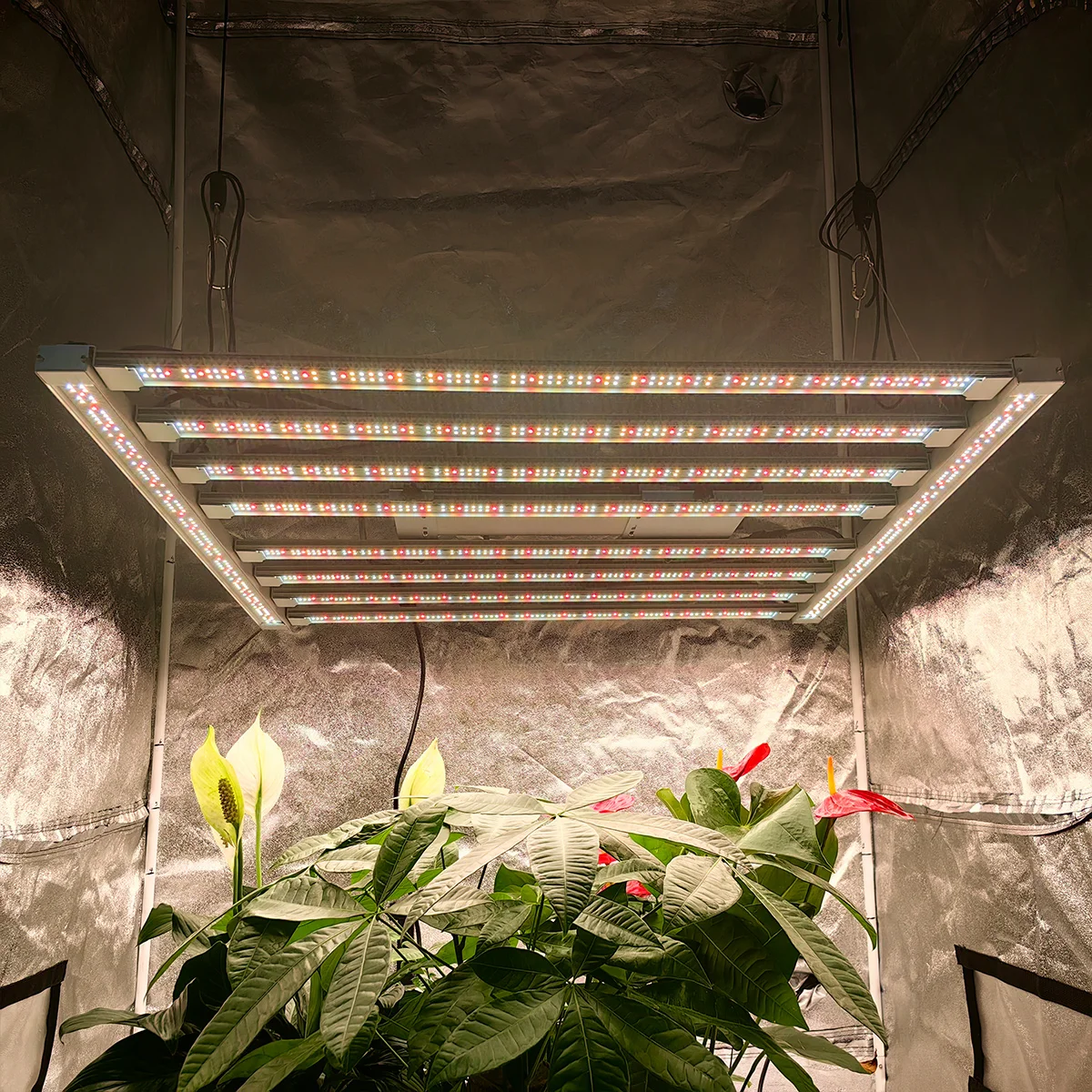 

LED Grow Light 1000W Full Spectrum mix Fr660nm UV IR Veg/Bloom 410-730nm for Indoor Plants Flower Greenhouse Grow Tent