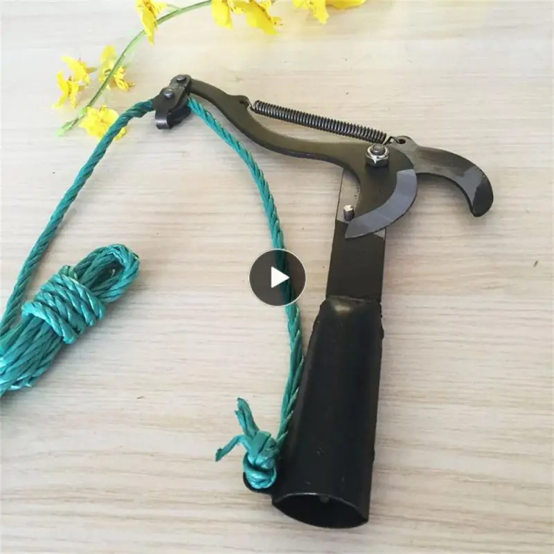 

Садовые высокопрочные ножницы из высокоуглеродистой стали. Высококачественные ножницы для сбора фруктов из высокоуглеродистой стали