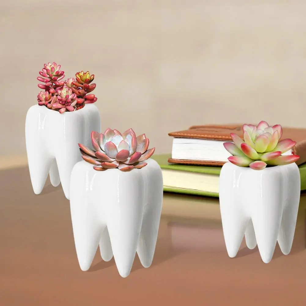 4PcsModern Style Teeth Pots Ceramic Flower Pot Mini Plant Bonsai Planter Container for Desk Organizer Decoration Small Succulent