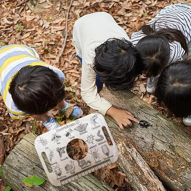 Линейка для идентификации животных обучающая научная линейка уличный