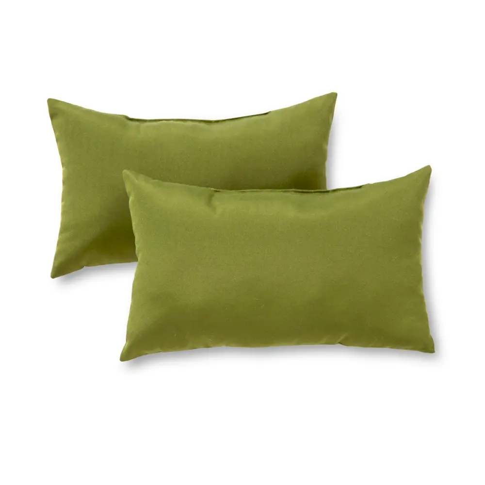 

Summerside Green 19 x 12 in. Outdoor Rectangle Throw Pillow (Set of 2) by