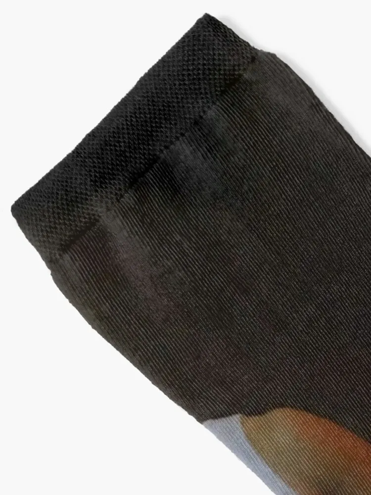 Носки Bang Chan Забавный подарок Новогодние женские носки мужские