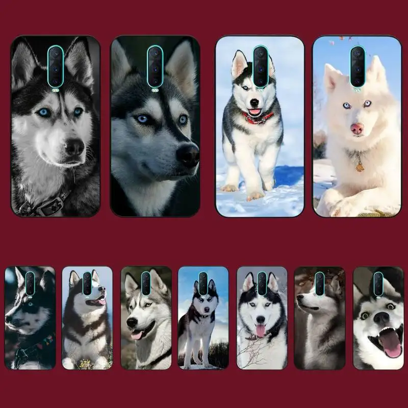

Animal Wolf Husky Dog Puppy Phone Case for Vivo Y91C Y11 17 19 17 67 81 Oppo A9 2020 Realme c3