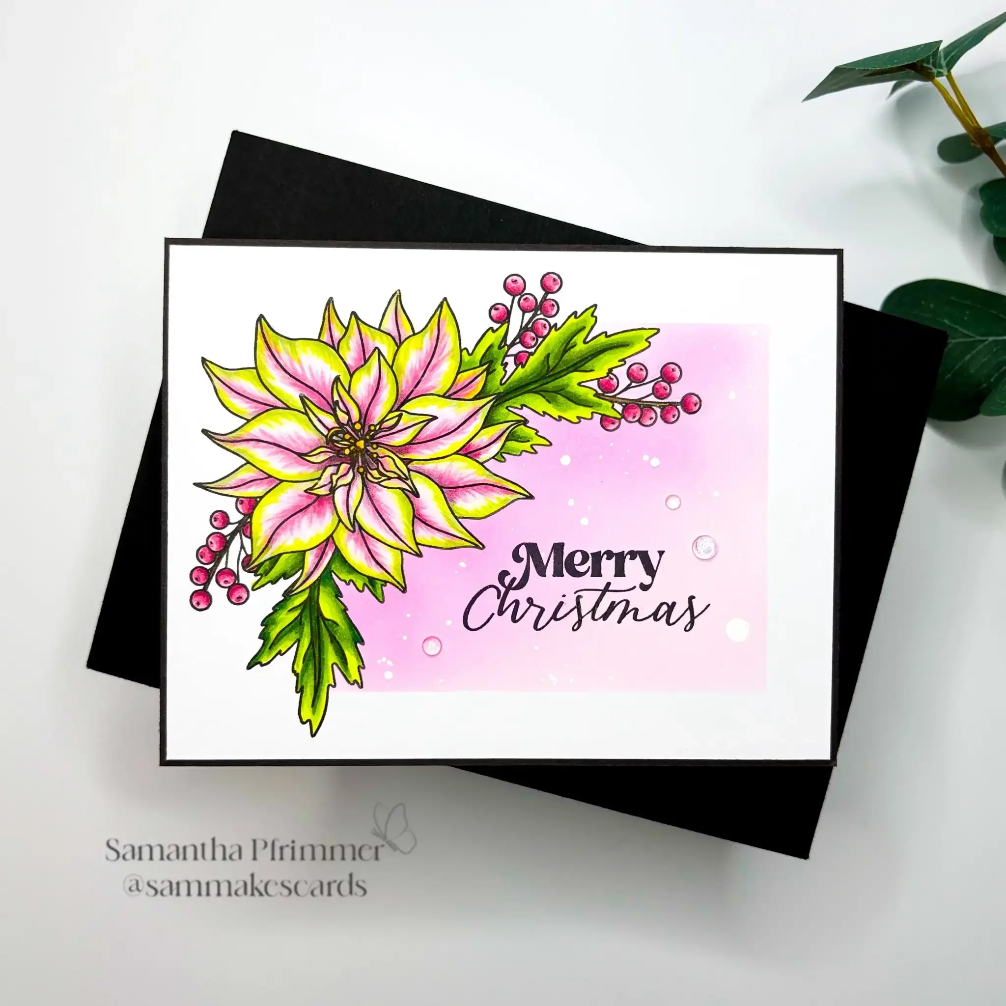 Штампы и штампы новинка 2024 рождественские Poinsettia Swag принадлежности для