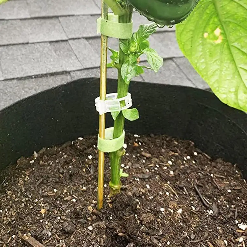 

Garden Sticks For Vegetables Potted Houseplants Flowers Sticks 20PCS Handmade Stakes With Adhesive Pad For Sunflowers Shrubs