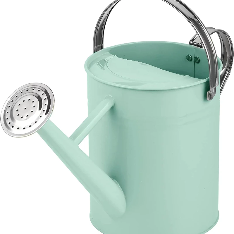 Watering Can - Metal Watering Can With Removable Spout  Plant Watering Can