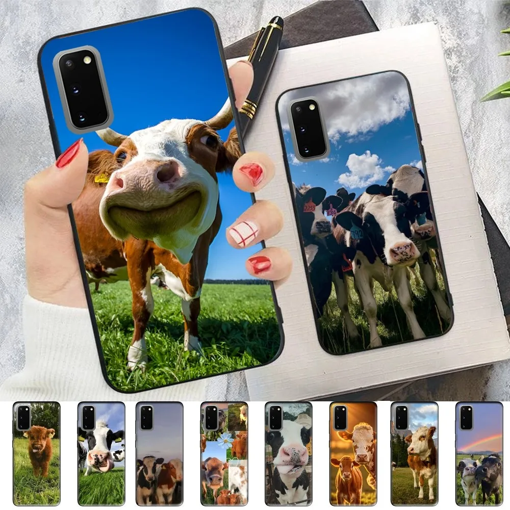 

Cow Phone Case For Samsung S 9 10 20 21 22 23 30 23plus lite Ultra FE S10lite Fundas