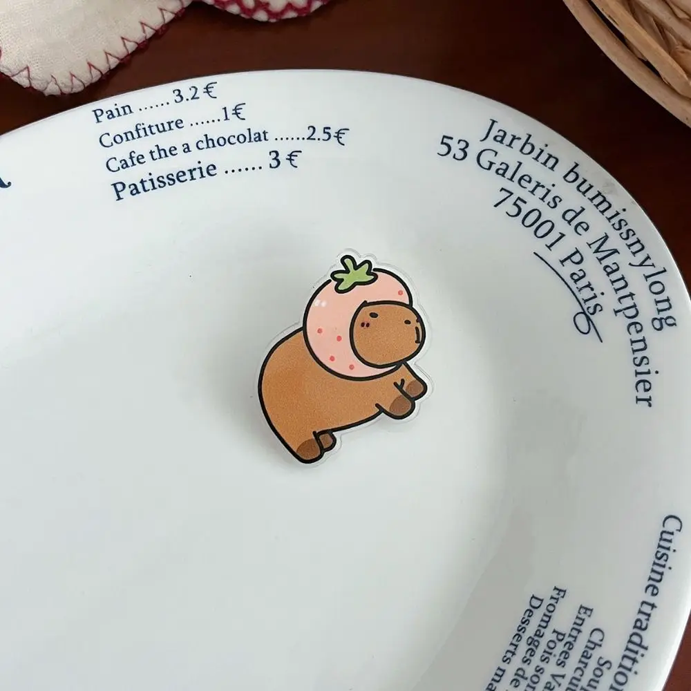 Ювелирные изделия акриловая булавка капибара милая забавная для девочек