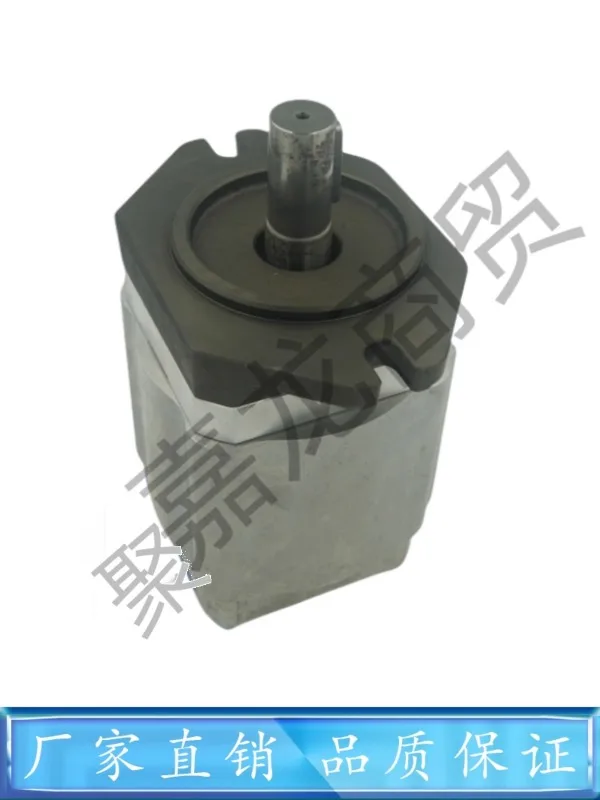 Немецкий Шестеренчатый насос ECKERLE EIPC3-040/050/064/RA23-10 в масляном насосе для литья под