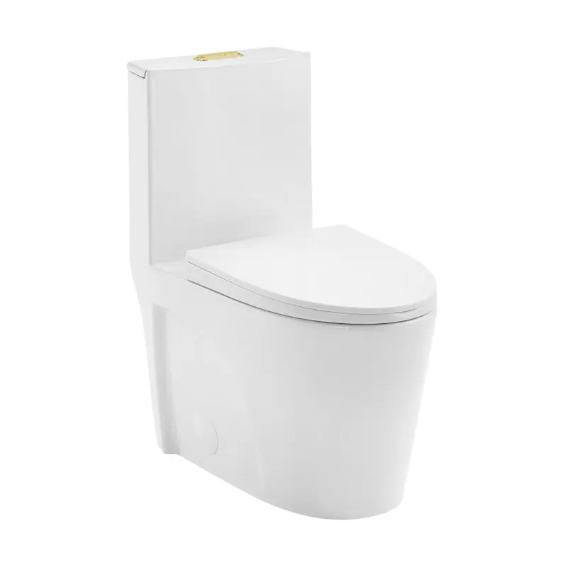 

Ceramic Toilet Vortex Flush, Gold Hardware