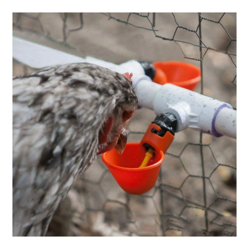 

Chicken Waterer Cups Water Drinker Poultry Automatic Feeder Drinking Quail Watering Cup Pigeon Pvc Kit Farm Fitting Tee Ducks