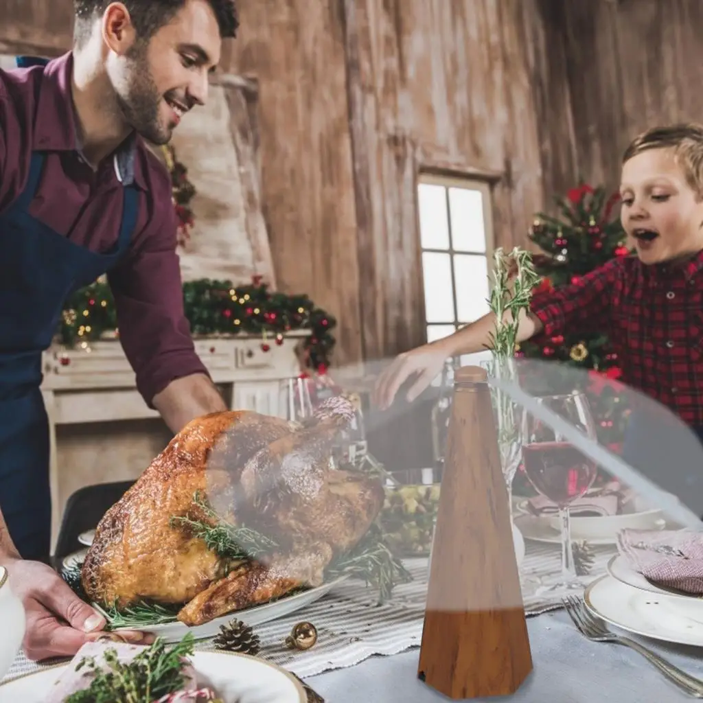 

Outdoor Fly Repellent Fan with USB Food Protector Fly Destroyer Kitchen Keep Flies Bugs Away From Food Pest Repellent Table Fan