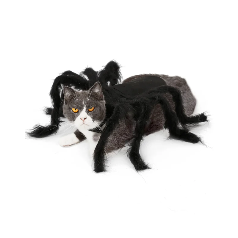 

Одежда для собак, костюмы на Хэллоуин, жуткий паук, косплей для маленького котенка, щенка, искусственная драпировка