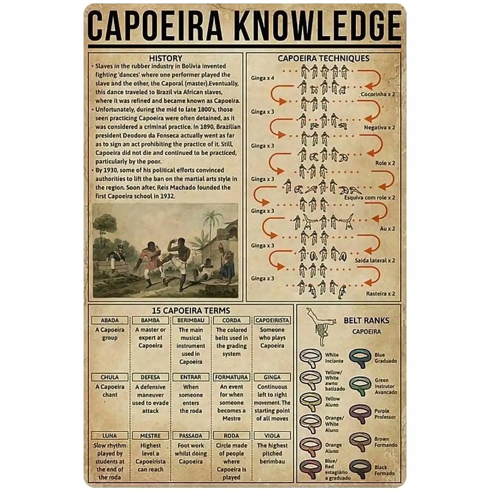 

A Capoeira Knowledge Metal Signs Brazilian War Dance Anatomy Posters Wall Decor Dance Lovers Home Decor Bedroom Decor Plaque