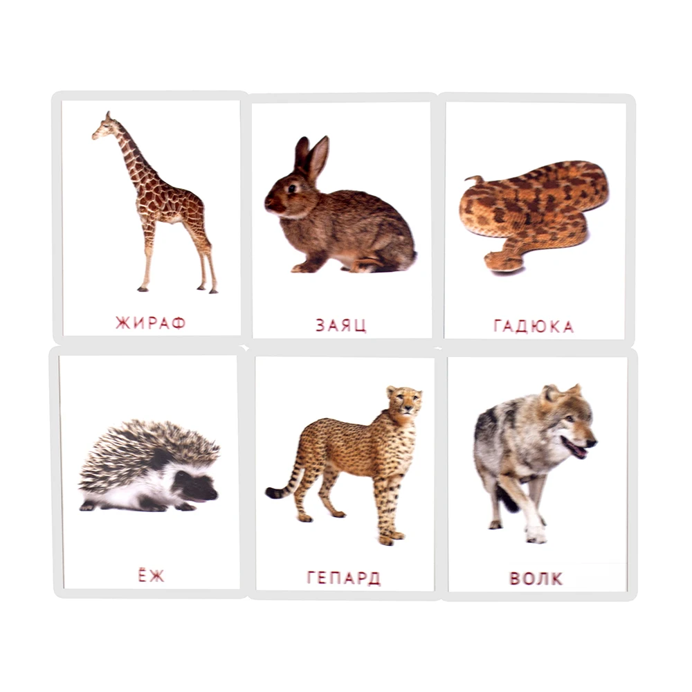 Детские развивающие карточки Монтессори с животными 19 шт. |
