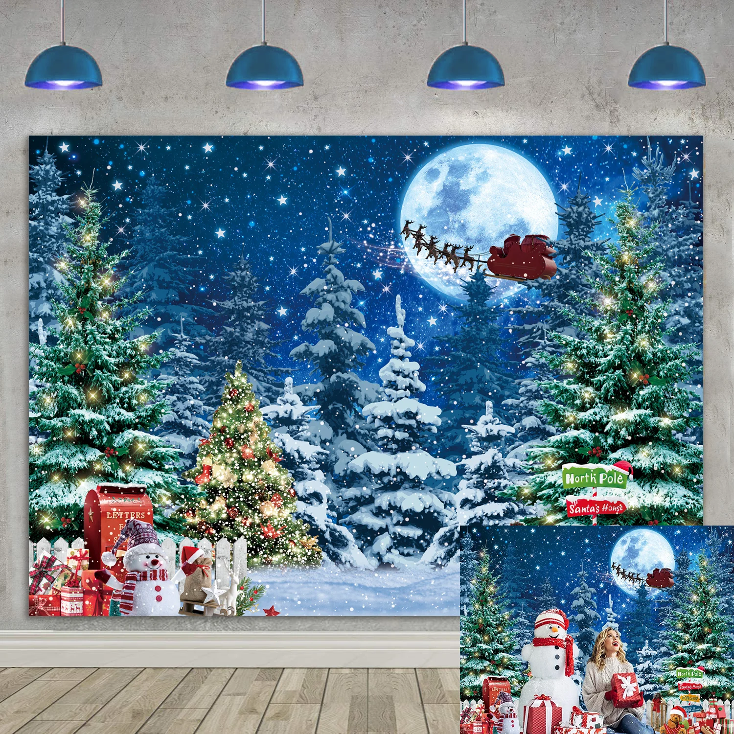 Зимняя Страна Чудес Фото Фон Для Вечеринки Рождество Северный Столб Снег Полная