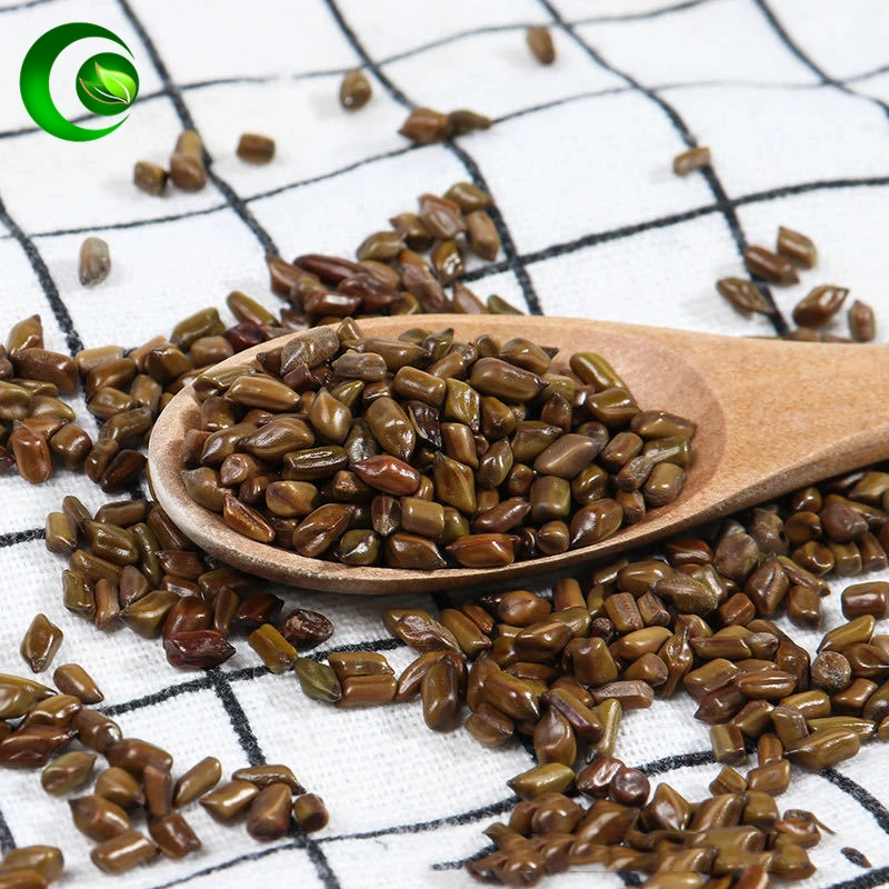 Кассия семена кассии кетсумиши резюме потеря веса порошок цзюэ Минг Цзы |