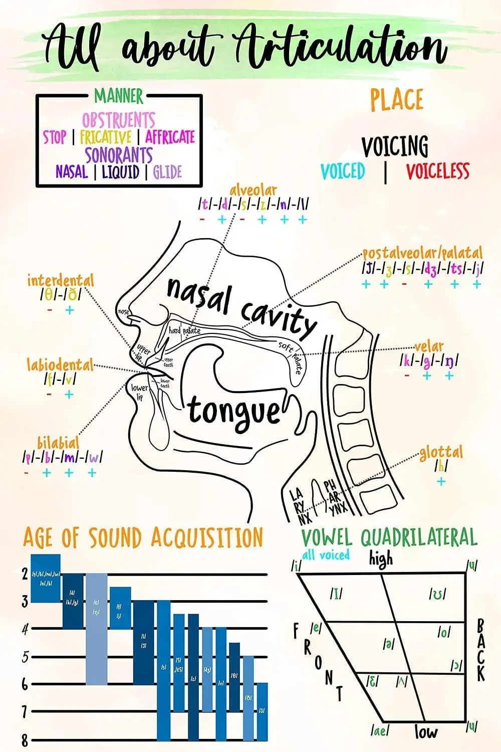 Strotore Speech Pthology Knowge Metl Tn Sgns Vntge Slp ll bout rtculton Ретро плакат Wll rt for Doctor Offce Home Hosptl Clnc Wl