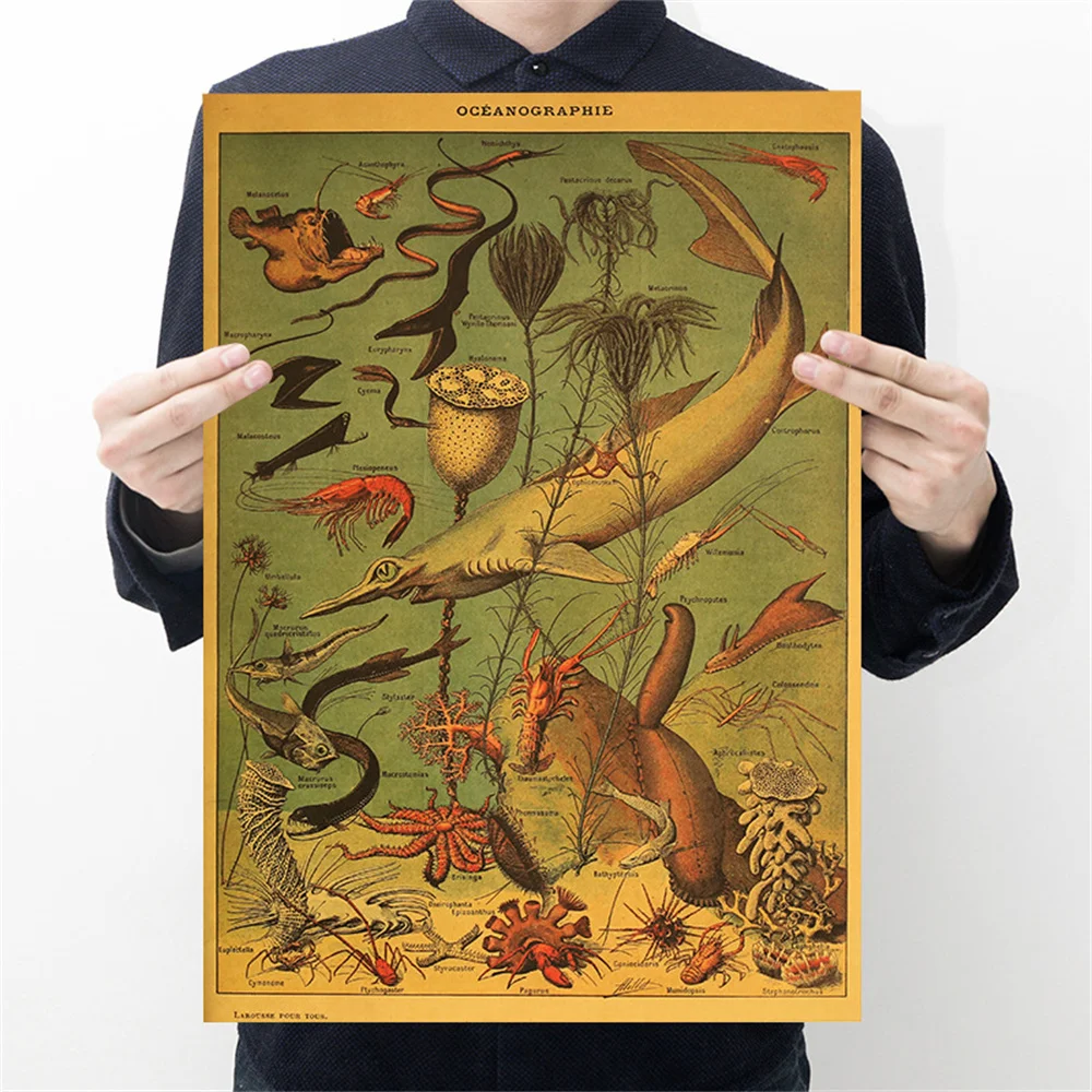 

Encyclopedia Of Biology Kraft Paper Posters Benthos Style Wall Stickers Home Bar Cafe Classroom Home Decor Painting Gift