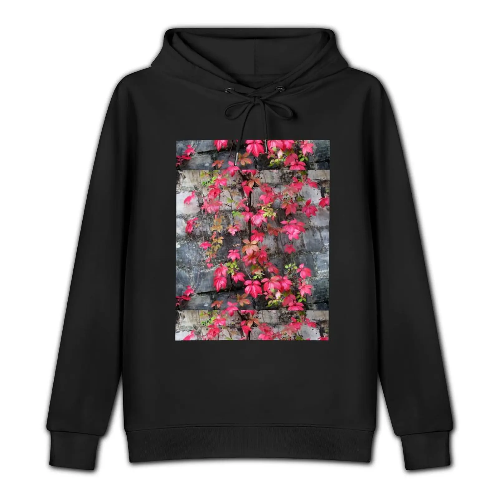 Paris Pere LaChaise Fall Leaves Pullover Hoodie autumn clothes men's oversize hoodie