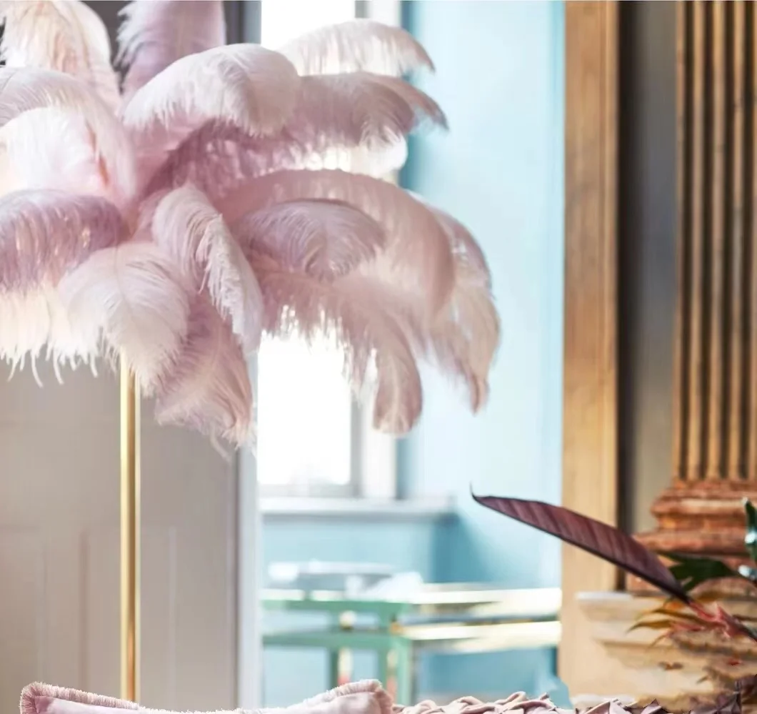 

10pcs Color Natural Ostrich Feather Party Vase Wedding Dress Fan Dream Catcher Decorative Plumas 15-60cm Diy Craft Accessories