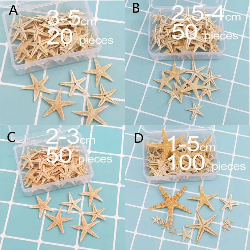 

Nice Mixed Sea Shells Starfish Natural Craft for Beach Theme Party Home Decorations DIY Epoxy Resin Projects Fish for Ta