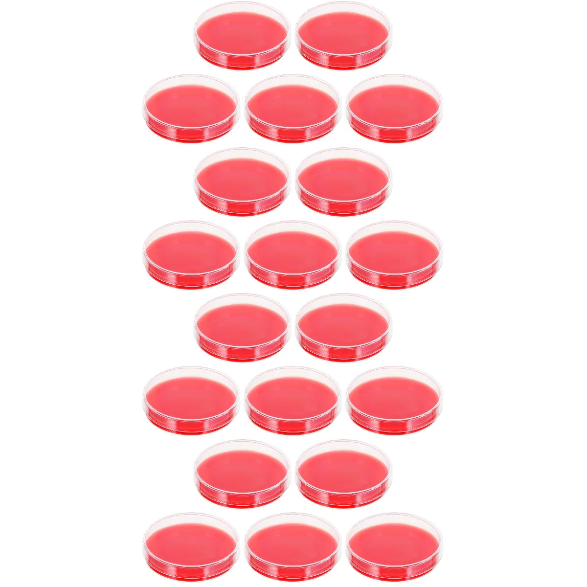

20 Agar Agar Medium Biological Determine Equipment