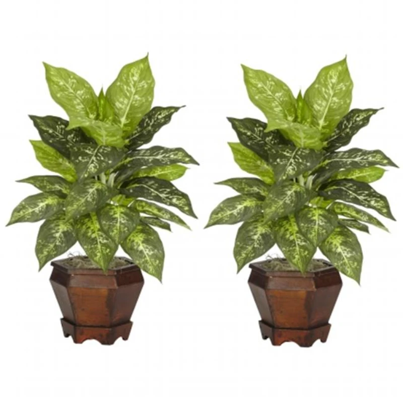 

20.5" Dieffenbachia with Wood Vase Artificial Plant, Set of 2, Variegated