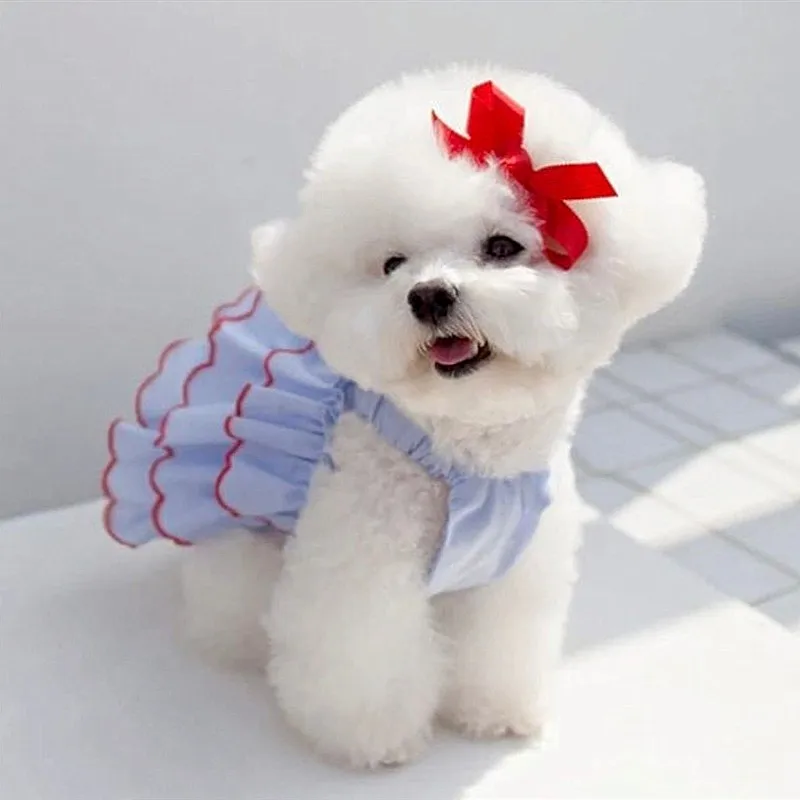 

Luxury Yarn Pet Dogs Clothes Fairy Spirit Summer Dogs Dresses Puppy For Small Dogs Girl Princess Dress Chihuahua Costume Perro